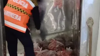 Policía Caminera secuestró en control vial unos 800 kilos de carne